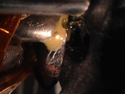 IMG_1493.JPG (64.43 KiB) Viewed 38887 times PLA accumulating around the nozzle base - for some reason the forum is rotating it 90 deg counter-clockwise.