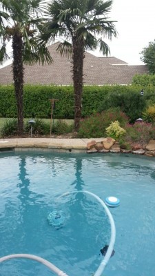 PoolView.jpg
