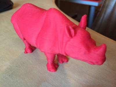 my first rhino