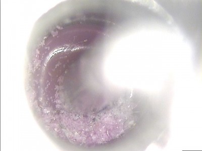 Purple inside Heat Sink 1