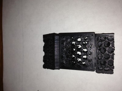 photo-5.JPG