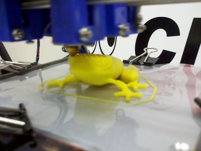 Frog during print