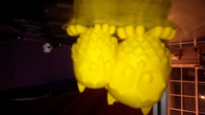 IMG_00000632.jpg