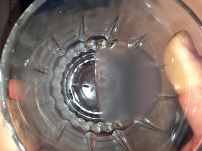 photo 5.JPG