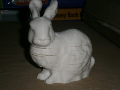 failed bunny.jpg