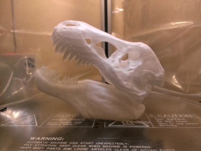 And here's the finished skull!! @_@ look at it