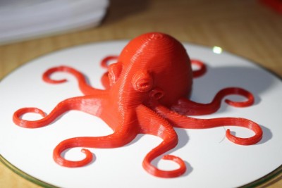 Completed Octopus