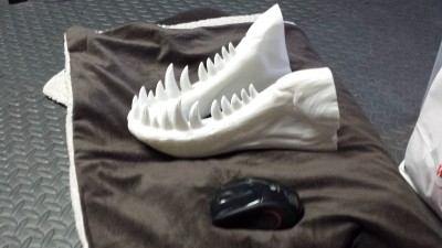 20150215_120619.jpg