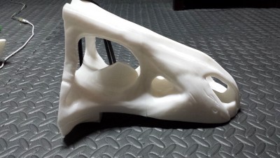 20150228_173859.jpg