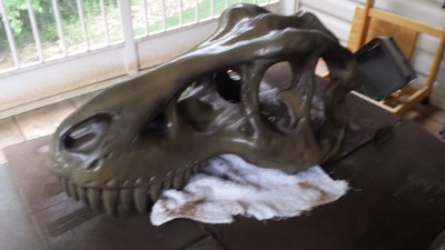 20150517_120014.jpg