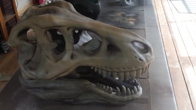 20150517_150036.jpg